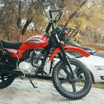 motorcycle Motoland Forester 200 photos