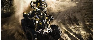 Review of the top 10 ATVs of 2020