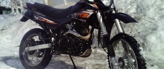 Racer Panther 200 in winter